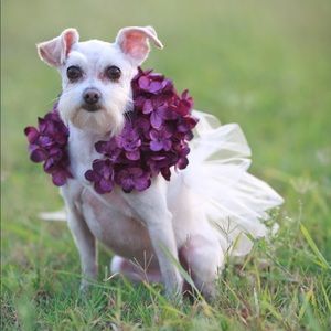 Meet your Posher, Maribel